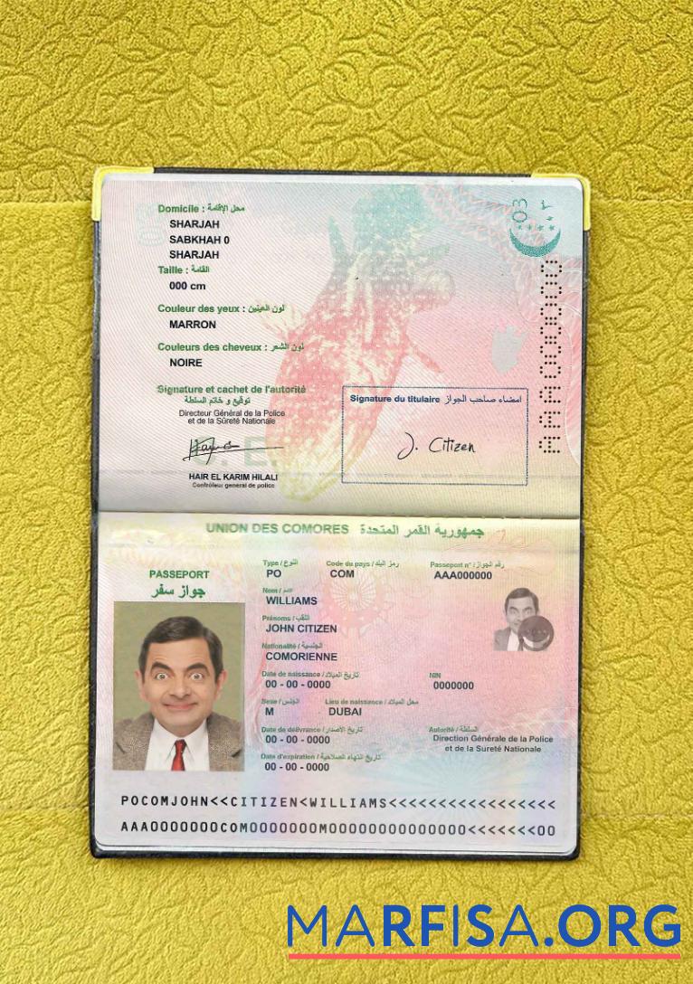 Realistic Union Des Comores passport photo look real example